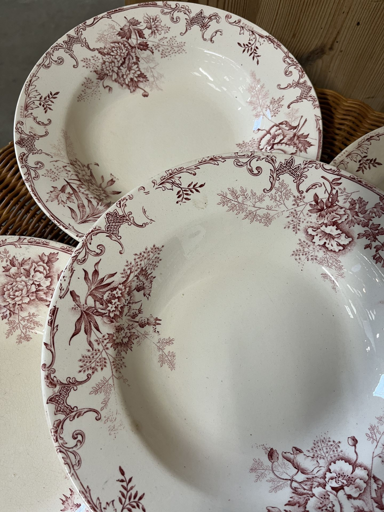 IMG_5572.webp