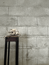 Longue selette noire et bois, rénové.webp