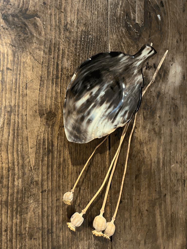 coupelle ,vide-poche en corne en forme de feuille 5.webp