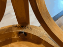 chaise en bois "baumann",assise en bois,années 50-4.webp