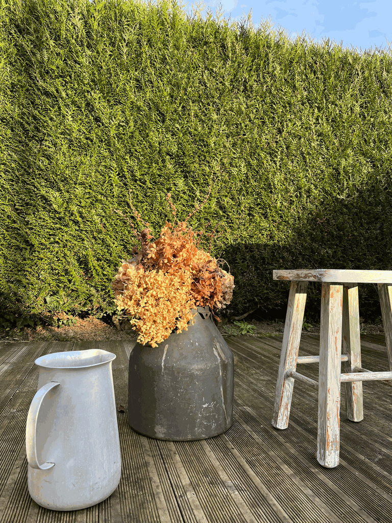 bidon à lait,patine noire-1.webp