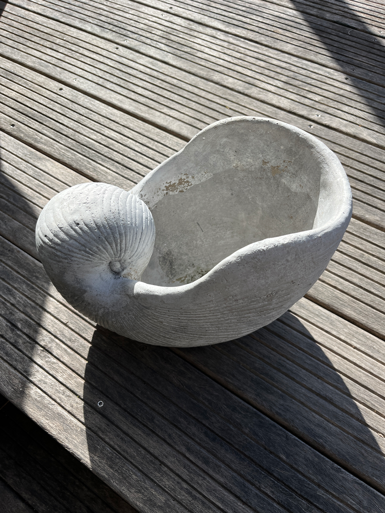 Cache-pot en ciment, forme coquillage
