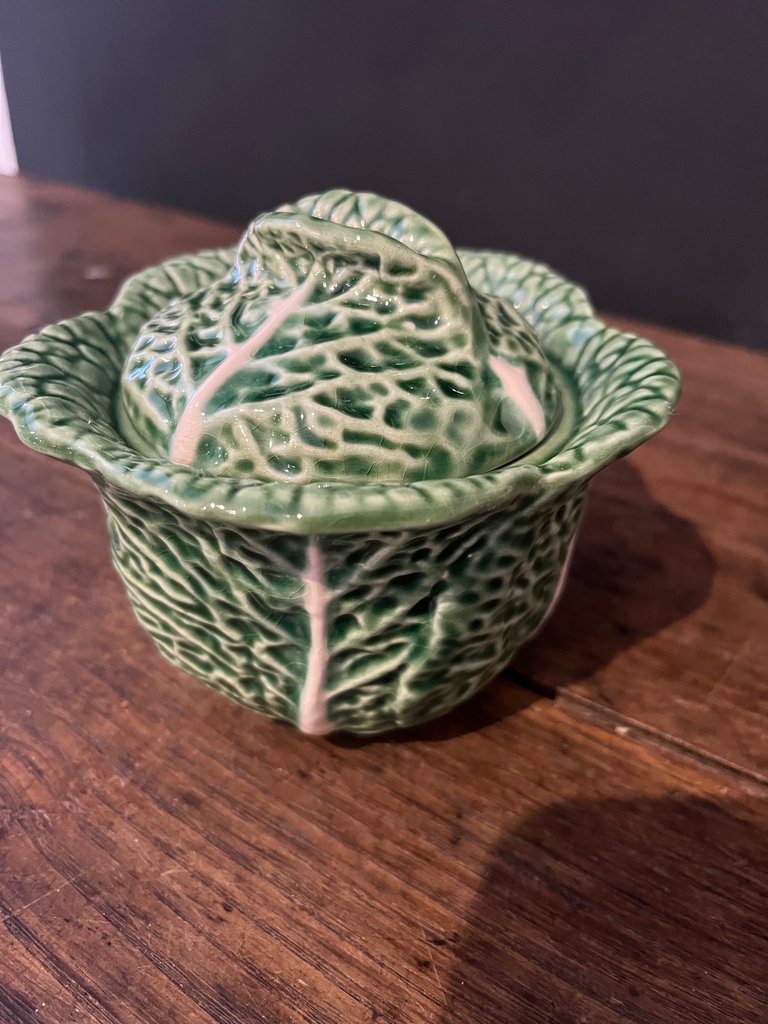 Moutardier, feuille de 'chou', barbotine